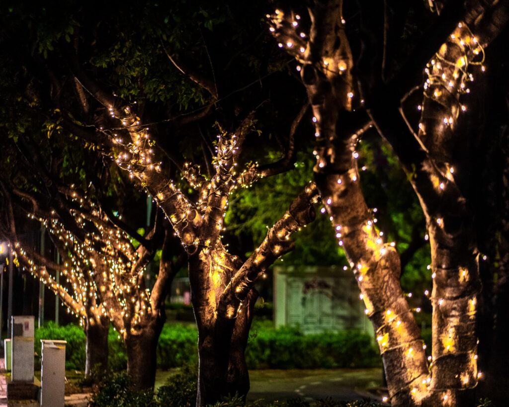 Glowing Christmas Lights And Trees