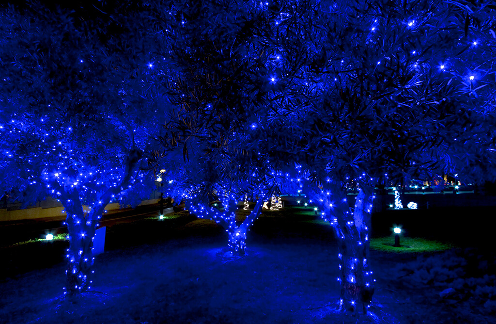 Glowing Blue Christmas Lights And Trees
