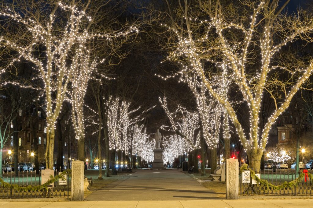 Glowing Yellow Christmas Lights And Trees On The Street