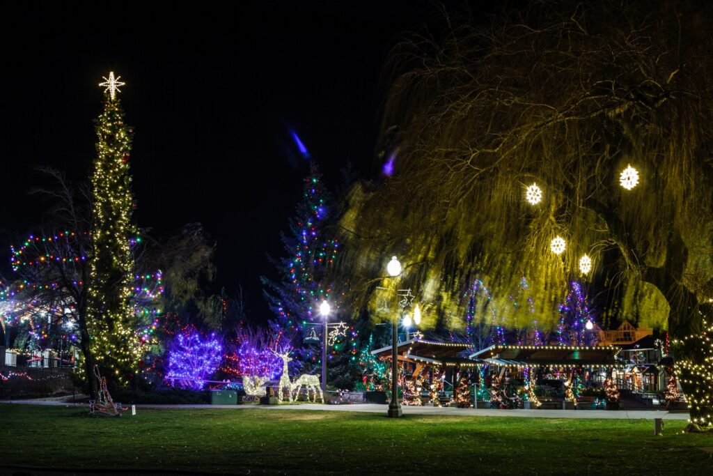 Glowing Christmas Lights And Trees In The Park