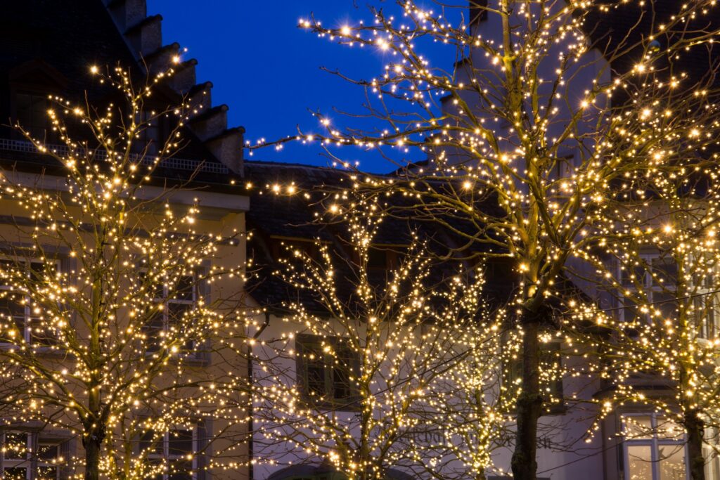 Glowing Yellow Christmas Lights And Trees At Home