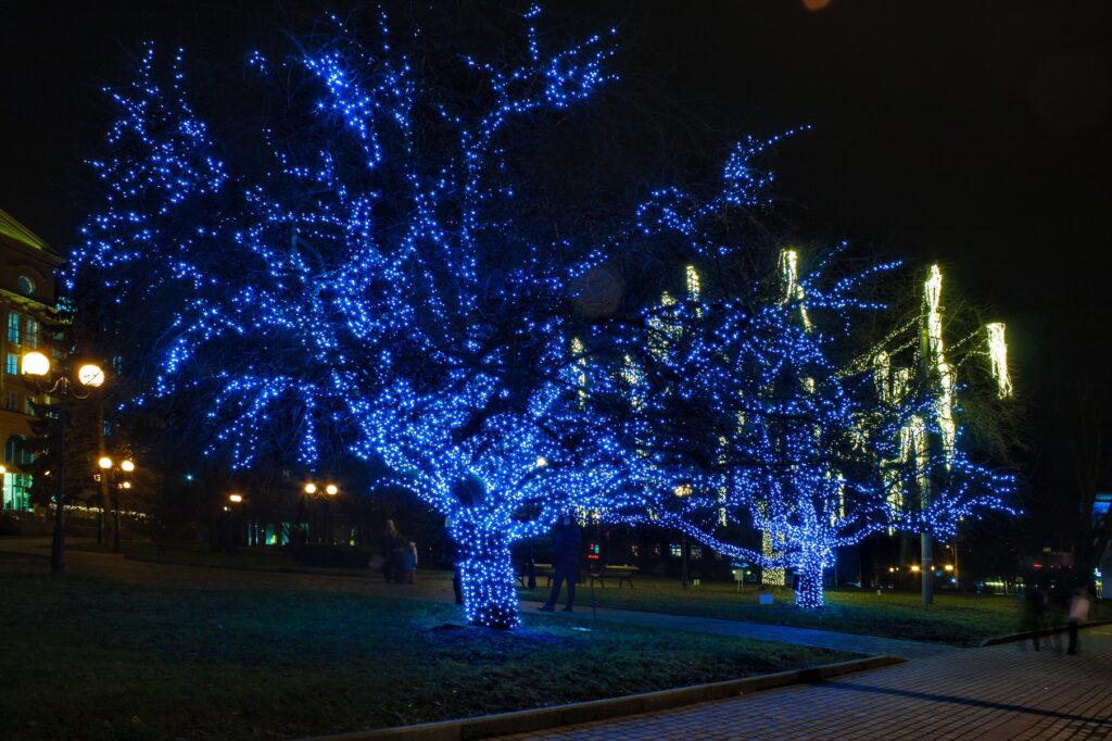 Glowing Blue Christmas Lights And Trees At Park