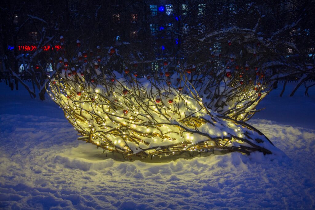 Glowing Yellow Christmas Lights And Trees