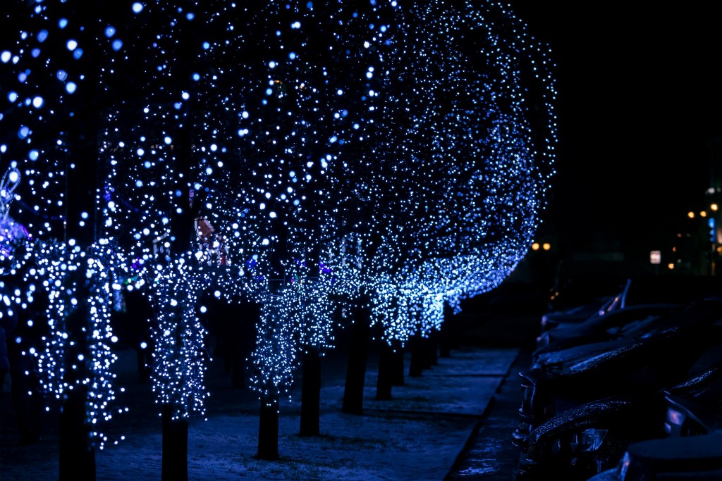 Glowing Blue Christmas Lights And Trees On The Street