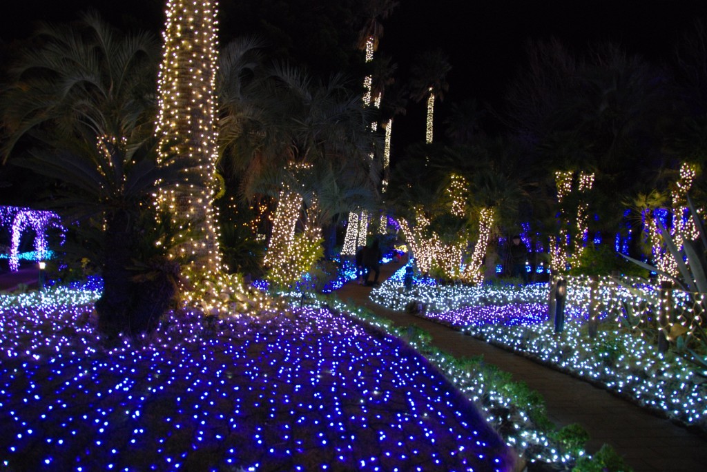 Glowing Christmas Lights And Trees With Multiple Colors