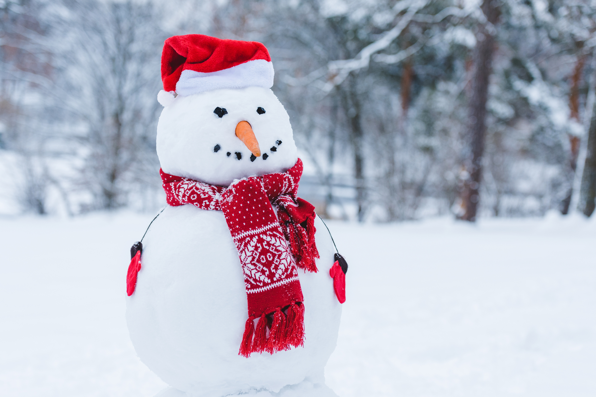 You are currently viewing The History of the Snowman